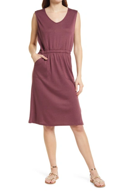 Splendid Hazel Elasticized Knee-length Dress In Currant