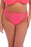 Elomi Charley High Cut Briefs In Honeysuckle