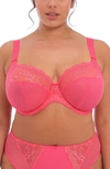 Elomi Charley Full Figure Underwire Convertible Plunge Bra In Honeysuckle