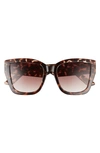 Aire Haedus 53mm Cat Eye Sunglasses In Brown