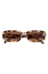 Aire Ceres 51mm Rectangular Sunglasses In Cookie Tort / Brown Mono