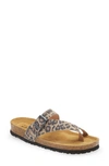 Naot 'tahoe' Sandal In Cheetah Suede