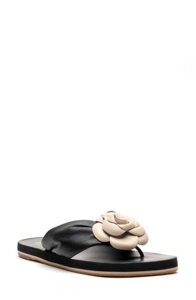 Frances Valentine Magnolia Thong Sandal In Black Oyster