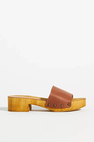 Seychelles Marine Layer Leather Wood Sandal In Nocolor