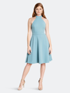 Dress The Population Paulina Halter Neck Fit & Flare Dress In Blue