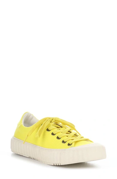 Bos. & Co. Chaya Sneaker In Yellow Canvas