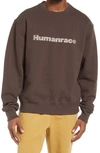 Adidas Originals X Humanrace By Pharrell Williams Basic Sweatshirt In Brown