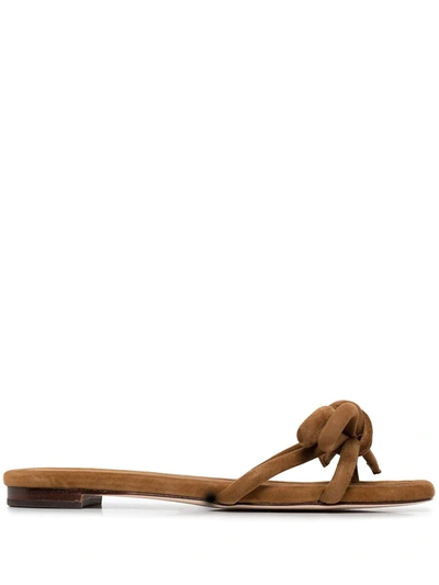 Loeffler Randall Hadley Suede Bow Flat Sandals In Cacao