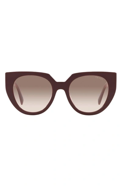Prada 52mm Cat Eye Sunglasses In Garnet/ Clear Gradient Brown