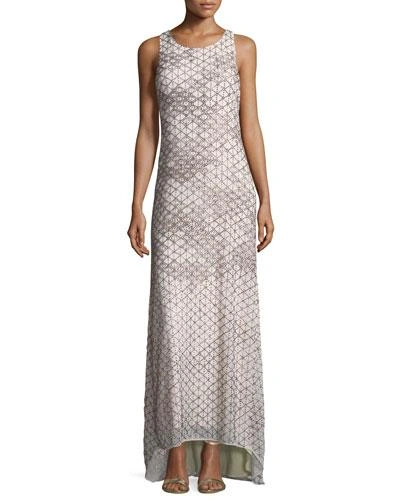 Haute Hippie Quest Sleeveless Embellished Gown In Champagne
