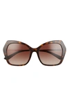 Dolce & Gabbana 56mm Gradient Butterfly Sunglasses In Havana