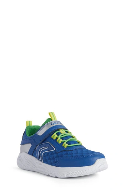 Geox Sprintye Sneaker In Royal/ Lime