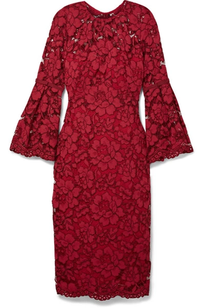 Lela Rose Grosgrain-trimmed Corded Lace Midi Dress In Claret