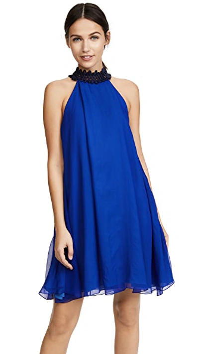 light blue halter dress maxi Chevelle Light Blue Halter Maxi Dress - 4