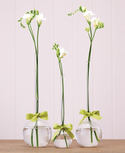 Two's Company Sleek And Chic Teardrop Vases, Set Of 3
