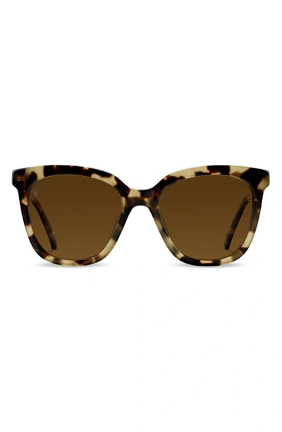 Vincero Ellison 54mm Polarized Round Sunglasses In Havana Brown