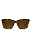 Vincero Emery 56mm Polarized Round Sunglasses In Rye Tortoise Brown