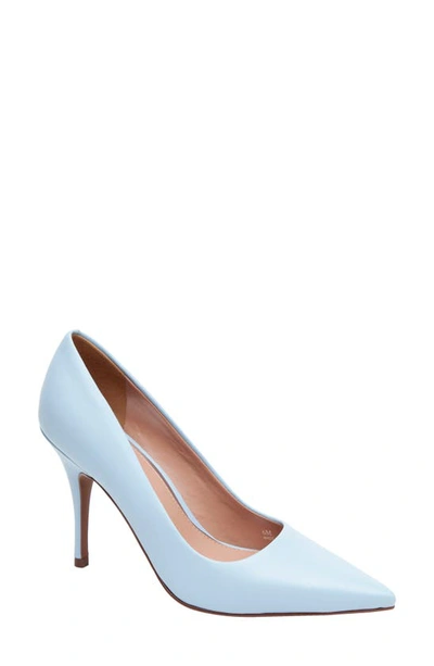 Linea Paolo Payton Pointy Toe Pump In Corydalis Blue
