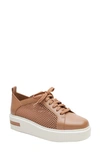 Linea Paolo Kosta Platform Sneaker In Desert