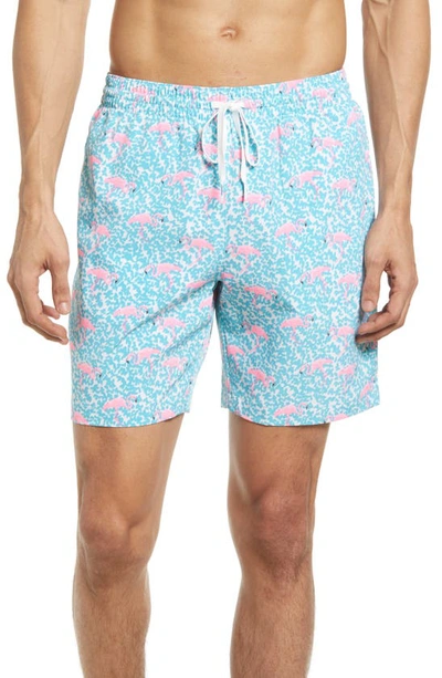 Chubbies Tropicadas 7-inch Swim Trunks In The Domingos Are For Flamingos