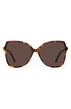 Jimmy Choo Fedes 59mm Square Sunglasses In Havana / Brown