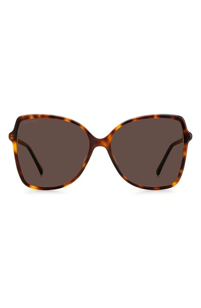 Jimmy Choo Fedes 59mm Square Sunglasses In Havana/brown
