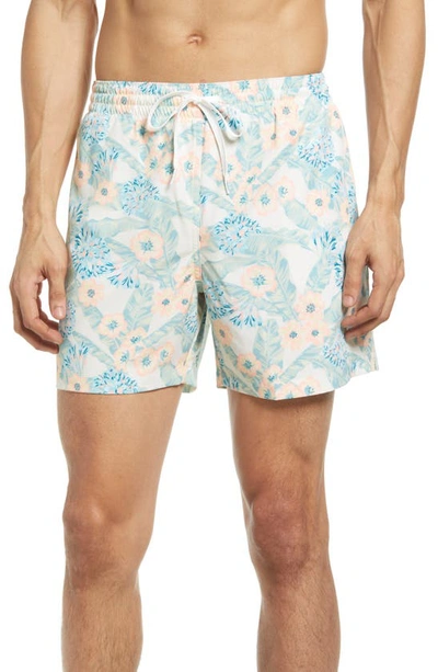 Chubbies 5.5-inch Swim Trunks In The Veranda Nights