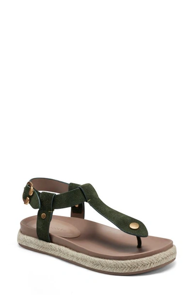 Aerosoles Carmen T-strap Sandal In Olive Suede