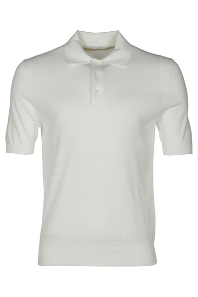 Malo T-shirts And Polos In White
