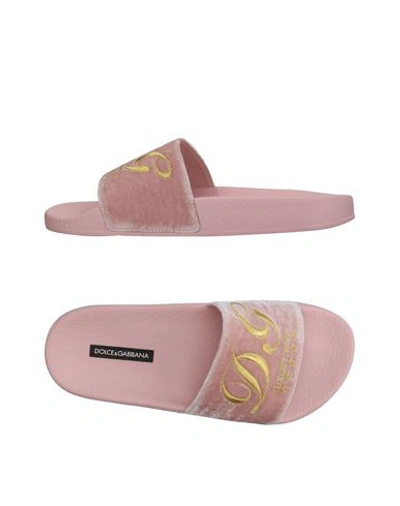Dolce & Gabbana Slippers In Pink