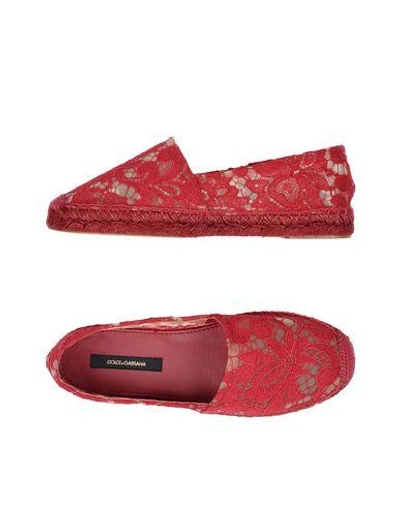 Dolce & Gabbana Espadrilles In Maroon