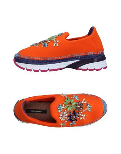 Dolce & Gabbana Sneakers In Orange