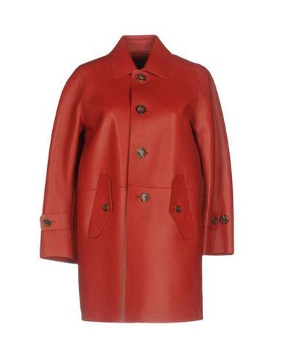 Dsquared2 Full-length Jacket In Red
