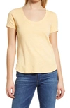 Tommy Bahama Ashby Isles Curve Hem T-shirt In Apricot Cream