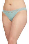 Montelle Intimates Lace Thong In Skylight