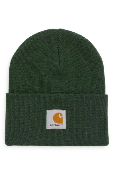 Carhartt Watch Hat In Grove