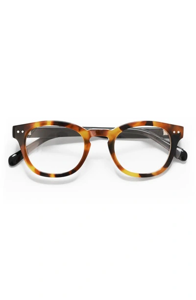 Eyebobs Waylaid 46mm Blue Light Blocking Glasses In Orange Tort / Clear