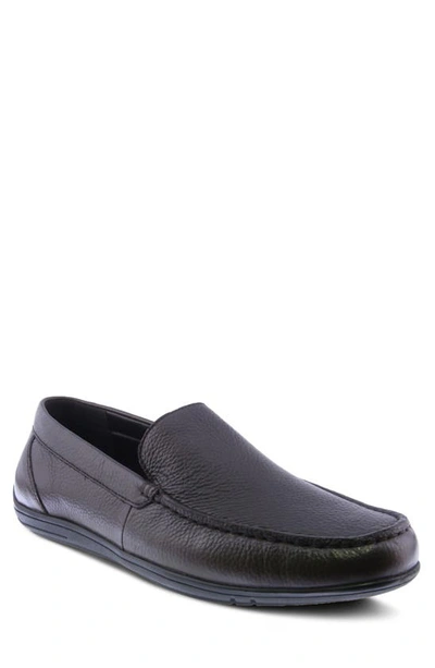 Spring Step Ceto Driving Loafer In Brown