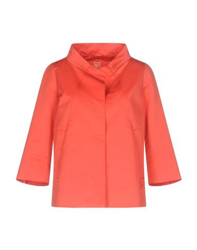 Add Jackets In Coral