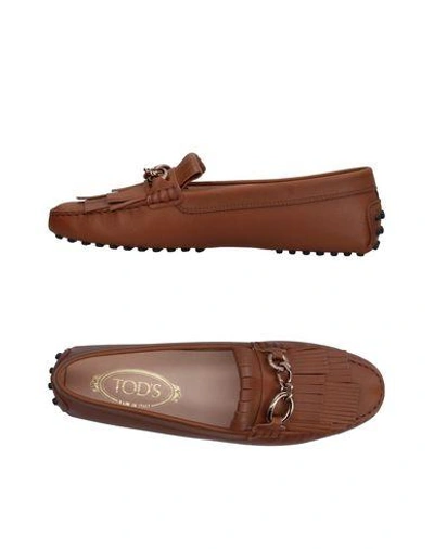 Tod's In Brown