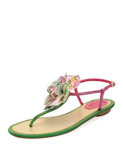 René Caovilla Embellished Leather Flat Sandal W/ Flower In Green/fuschia