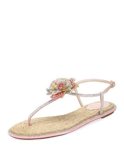 René Caovilla Crystal-embellished Floral Flat Sandal In Pink