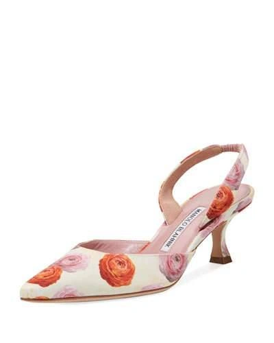 Manolo Blahnik Carolyne Fabric Pump In Rose Print