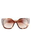Prada 52mm Butterfly Polarized Sunglasses In Tortoise/brown Gradient