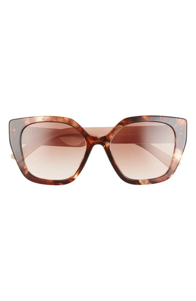 Prada 52mm Butterfly Polarized Sunglasses In Brown Tortoise