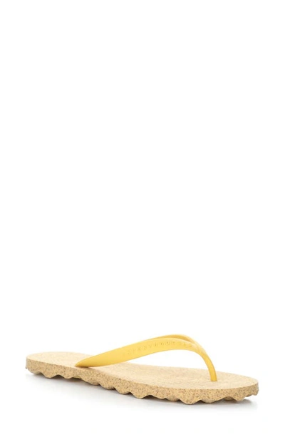 Asportuguesas By Fly London Base Flip Flops In 008 Yellow Rubber