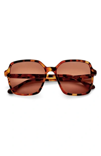 Gemma Lake Shore Drive 55mm Rectangle Sunglasses In Tortoise