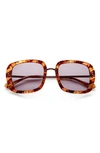 Gemma Baker Street 52mm Square Sunglasses In Tigers Eye