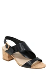 Charles By Charles David Cannon Sandal In Black