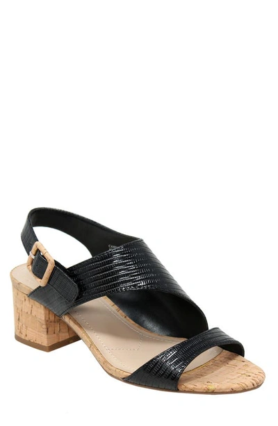 Charles By Charles David Cannon Sandal In Black